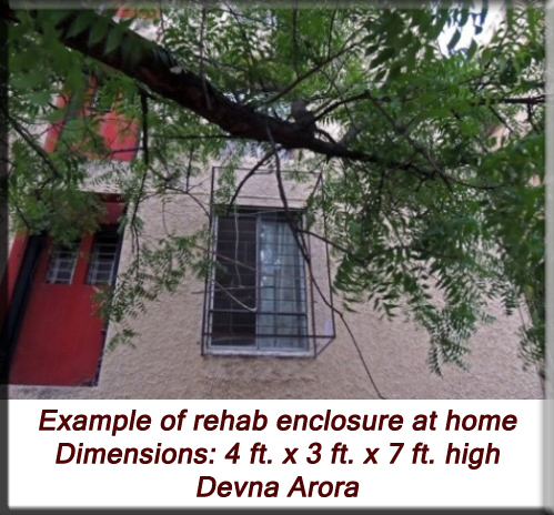 Devna Arora - Example of rehab enclosure at home