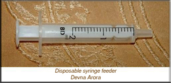Disposable syringe feeder