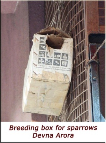 Devna Arora - Breeding box for sparrows