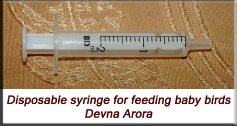Disposable syringe feeder