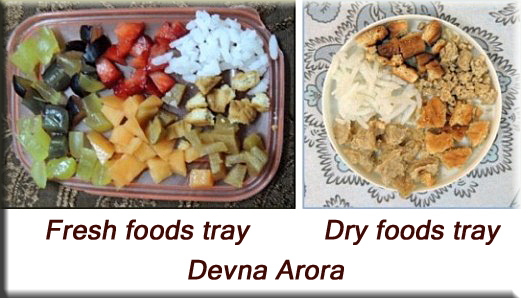 Devna Arora - Feeding trays for squirrels