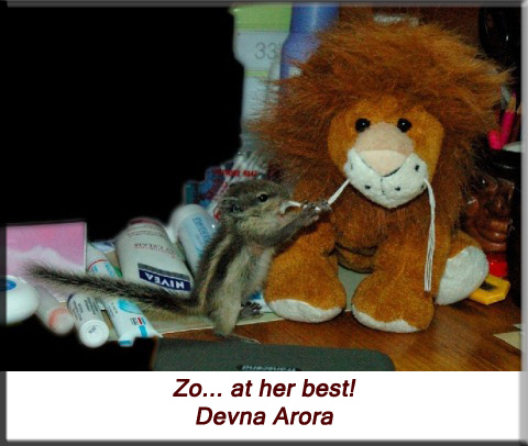 Devna Arora - Zoe - at her best