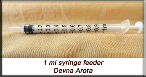 Devna Arora - Syringe feeder